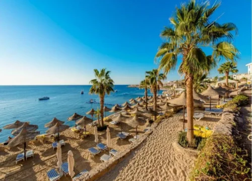 Concorde el salam Sport Hotel 3 Nights