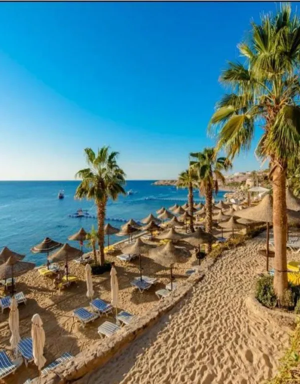 Concorde el salam Sport Hotel 4 Nights